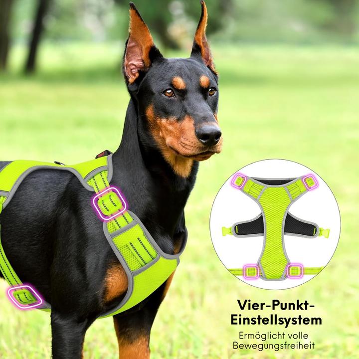 Actual product image Suba LED dog harness (L, Dog, Dog sport, Walks)
