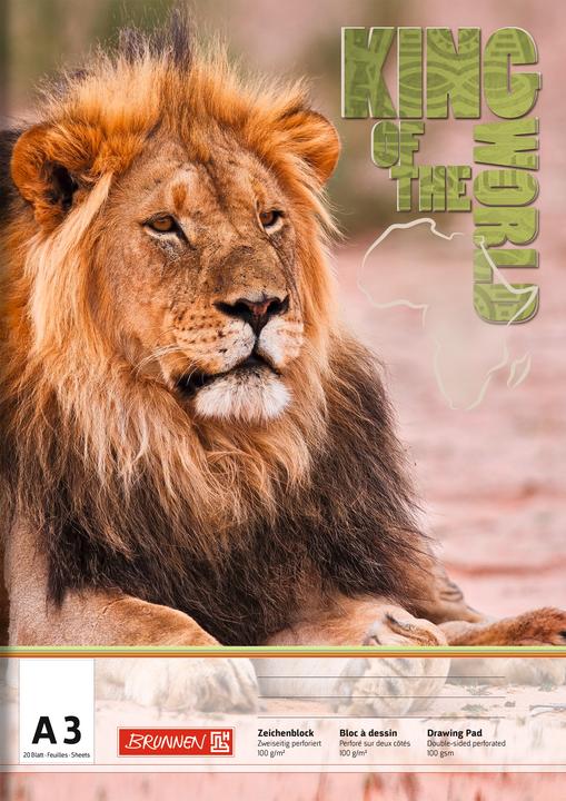 Immagine prodotto Brunnen Blocco da disegno DIN A3 100g/m² 20 fogli (A3)