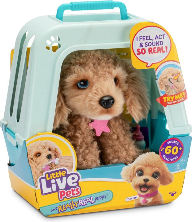 Actual product image Little Live Pets - My Really Real Puppy - Curley (26612)