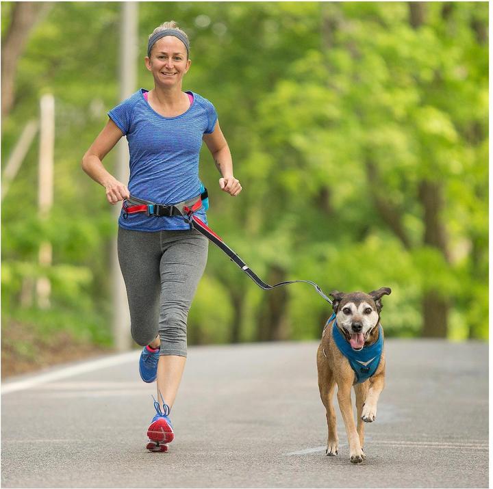 Actual product image Kurgo Springback Leash (Dog, Jogging)