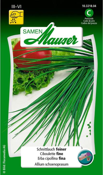 Produktbild Samen Mauser Schnittlauch (Kräutersamen)