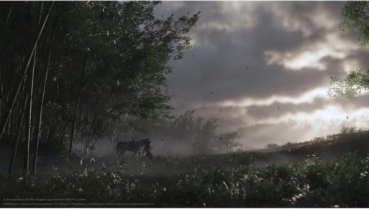Immagine prodotto Sony Ghost of Tsushima Director’s Cut (PS4, Francese, Italiano, tedesco)