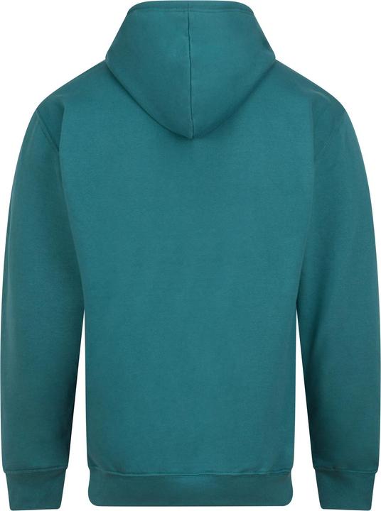 Image du produit Just Hoods College Hoodie (XL)