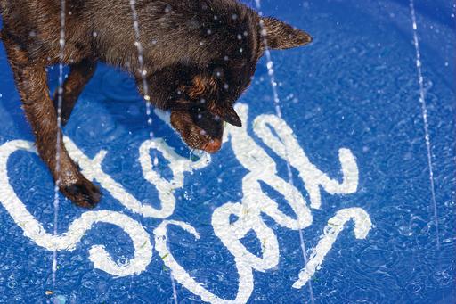 Image du produit Beeztees Bz Tapis D'Arrosage Stay Cool Bl (Piscine pour chiens)