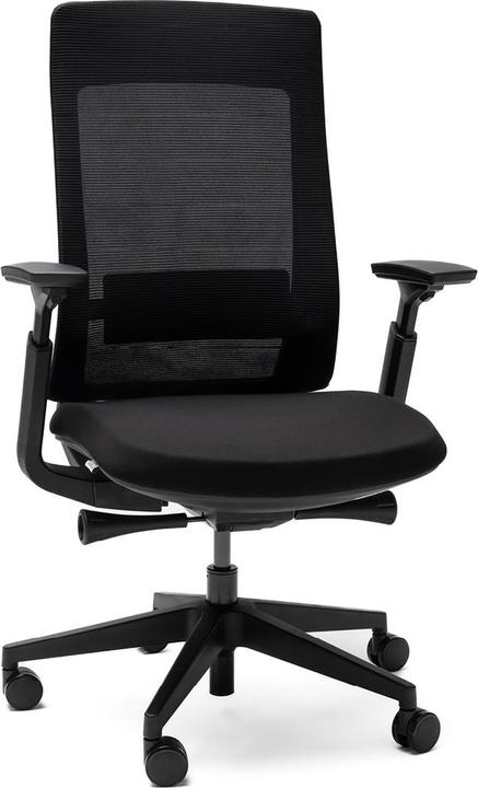 Image du produit Yaasa Chair Essential