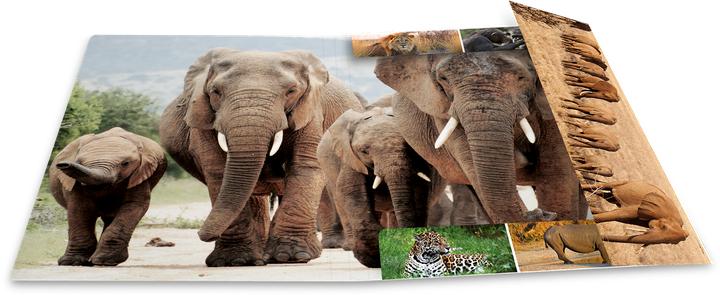 Produktbild HERMA Sammelmappe A4 Motiv (A4, 1x)