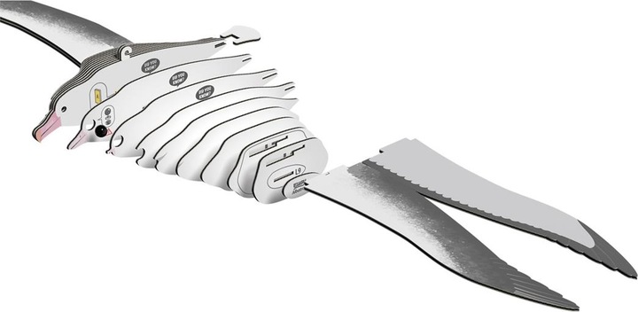 Actual product image Eugy 3D craft set Royal Albatross (MQ6)