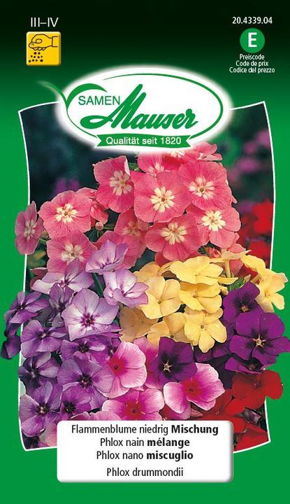 Image du produit Samen Mauser Flamboyant mélange bas (Graines de fleurs)