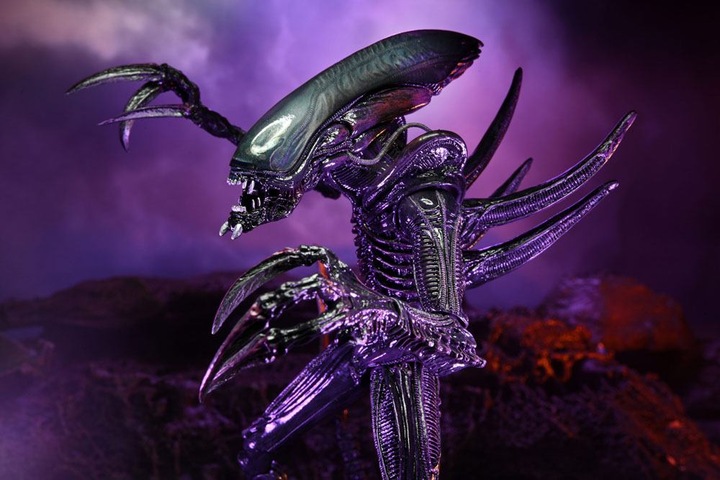 Produktbild Neca Alien vs Predator “Alien Sortiment” 3er Actionfiguren Set