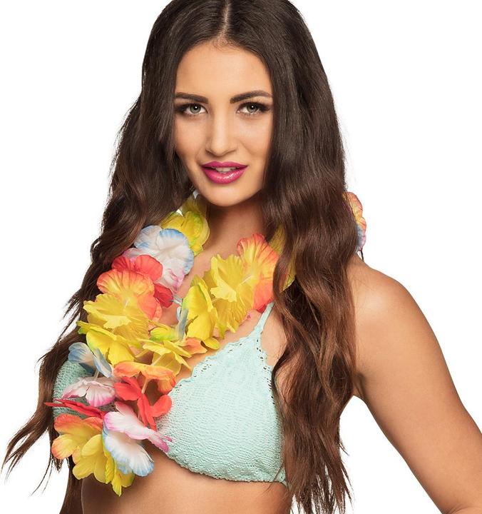 Image du produit Boland Collier hawaïen Rainbow