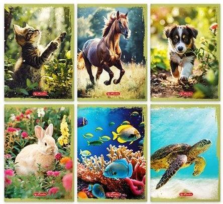 Image du produit Herlitz Notizbuch A5/16K Doppelliniert Tiere (20 Stk.) (A5)