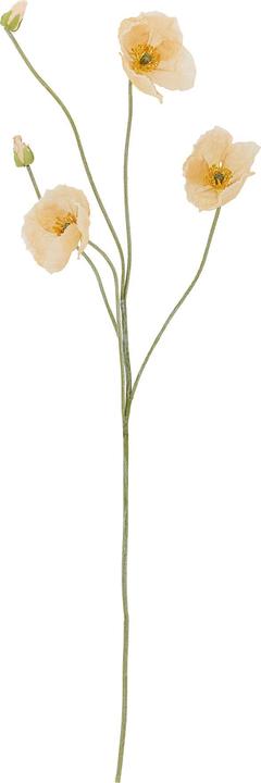 Natura