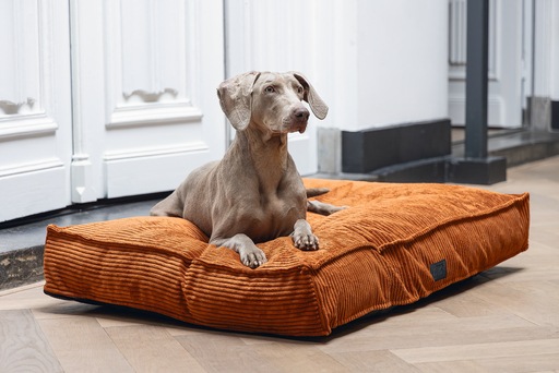 Image du produit Designed by Lotte Coussin de couchage Ribbed (Chien)