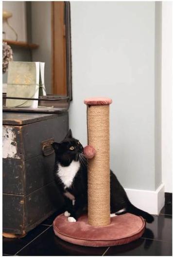 Actual product image Designed by Lotte Yenna (50 cm, Rose)