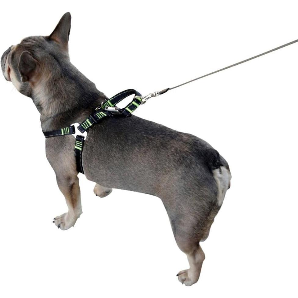 Kerbl Harnais de sécurité d’auto à animaux de compagnie 50-65 cm Noir