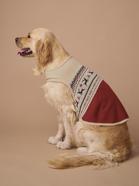 Actual product image Vertbaudet Christmas jumper (S, Dog jumper)