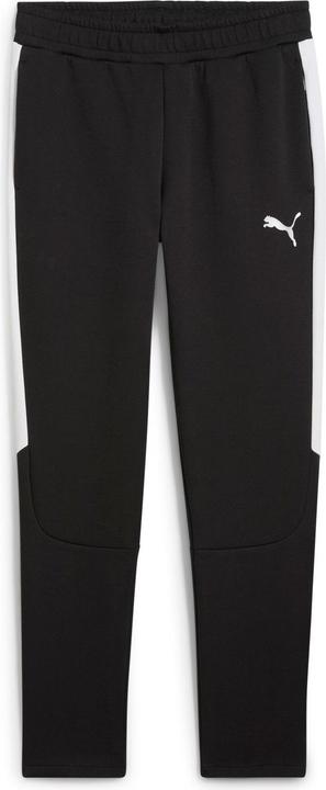 Produktbild Puma teamEVOSTRIPE Pants (3XL)