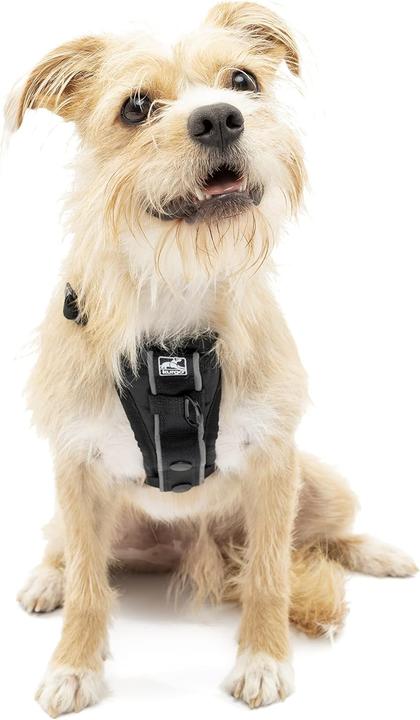 Immagine prodotto Kurgo Tru-Fit Smart Harness (XS, Cane, Generale, Jogging, Passeggiare, Sport cane)