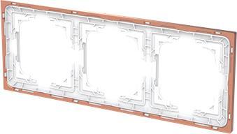 Actual product image Busch-Jaeger Frame 3-fold
