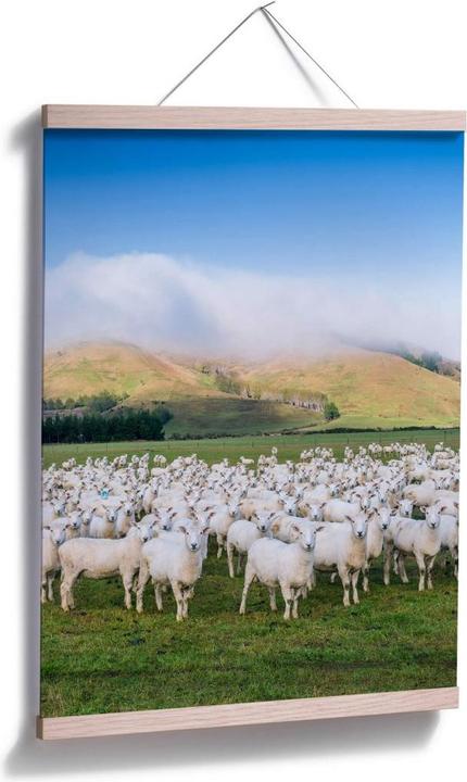 Actual product image Trenddeko Flock of sheep in New Zealand (100 x 120 cm)