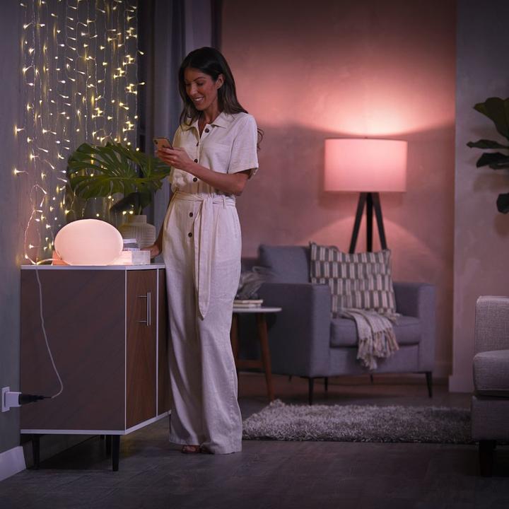 Productafbeelding Philips Schaduw Smart Plug
