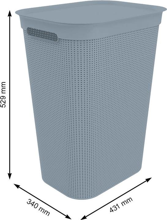 Actual product image Rotho Brisen (50 l)