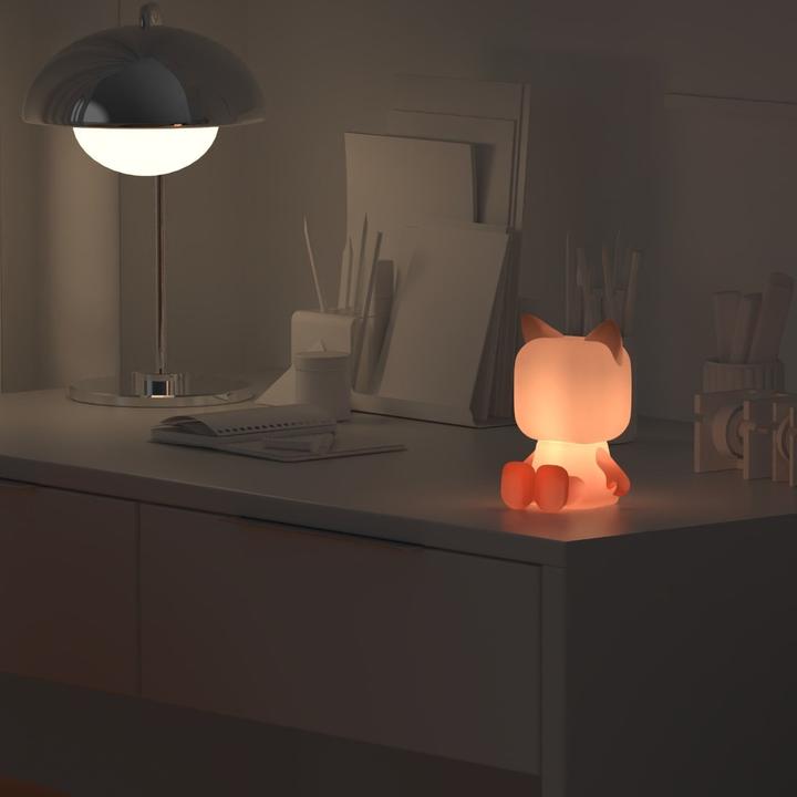 Actual product image Mobility on Board Night lamp Animal Light