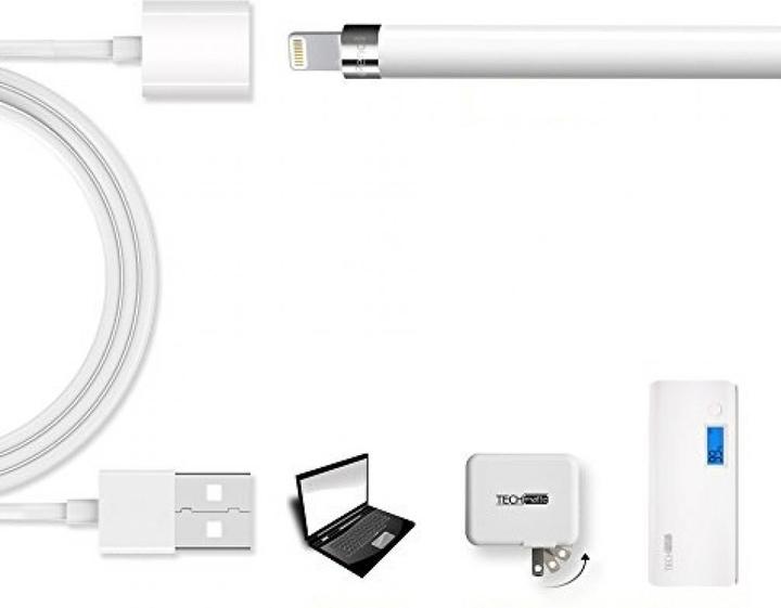 Immagine prodotto PowerGuard Cavo di ricarica USB con connettore Lightning per la stilo Apple Pencil (USB 3.2 Gen 1)