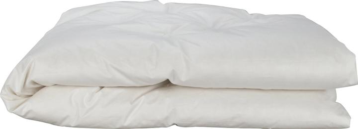 Image du produit Albis Duvet pour enfants Simba 100 x 135 cm, poids de remplissage 330 g