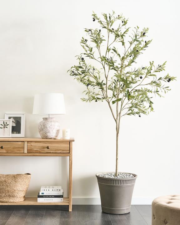 Actual product image Beliani Olive Tree (178 cm)