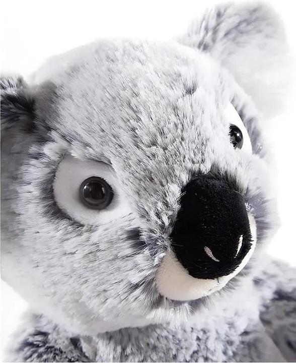 Actual product image Magni 247574 MISANIMO Koala Bear 20 cm, multi-coloured (14 cm)