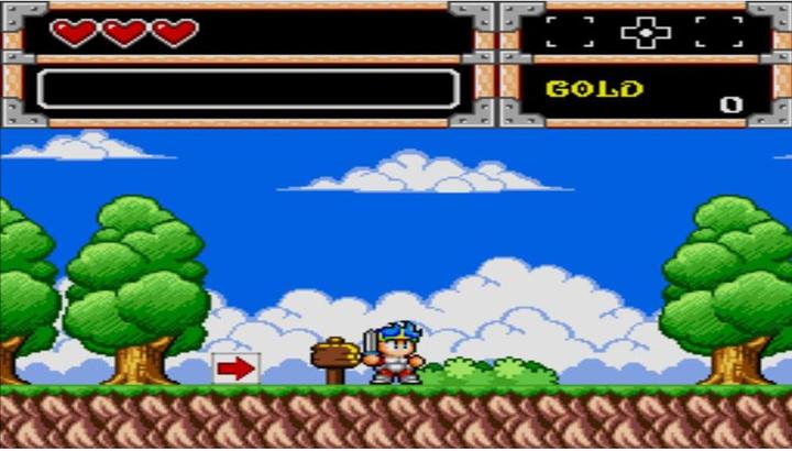Actual product image ININ Games Wonder Boy Collection (PS4, DE)