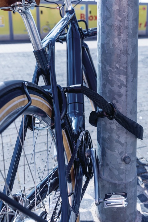 Produktbild Abus Ach Ivy (100 cm)