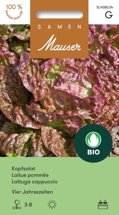 Produktbild Samen Mauser Knospe Bio (Gemüsesamen)