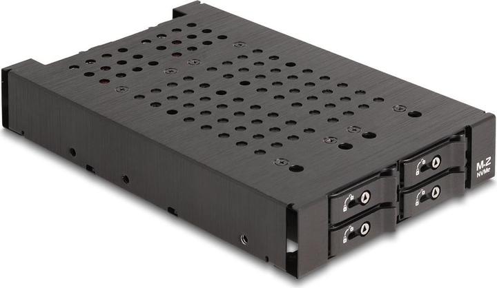 Actual product image Delock 3.5? Removable rack for 4 x M.2 NVMe SSD with OcuLink S