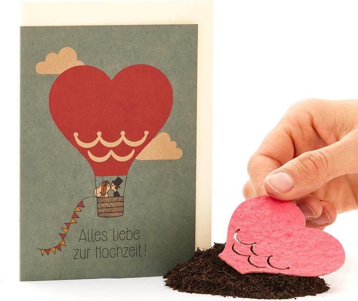 Produktbild Die Stadtgärtner Hochzeitsballon (1 Stk.)