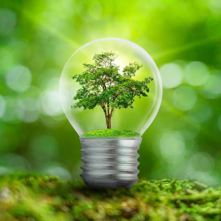 Image du produit Gorenje Appareil de refroidissement (384 l)