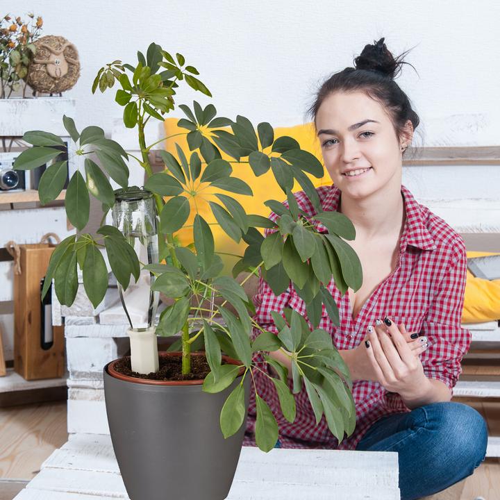 Actual product image Relaxdays Watering spikes (Clay cone)