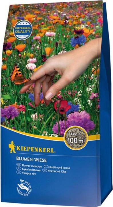 Produktbild Kiepenkerl Kiep. Blumen-Wiese (Blumenzwiebeln)