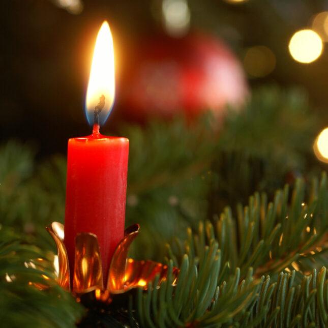 Actual product image Balthasar Tree candles (20 pcs.)