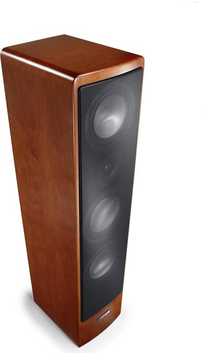 Actual product image Canton Ergo 690 DC (1 pair, 320 W)