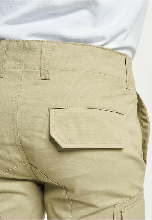 Actual product image Dickies Millerville Shorts (34)
