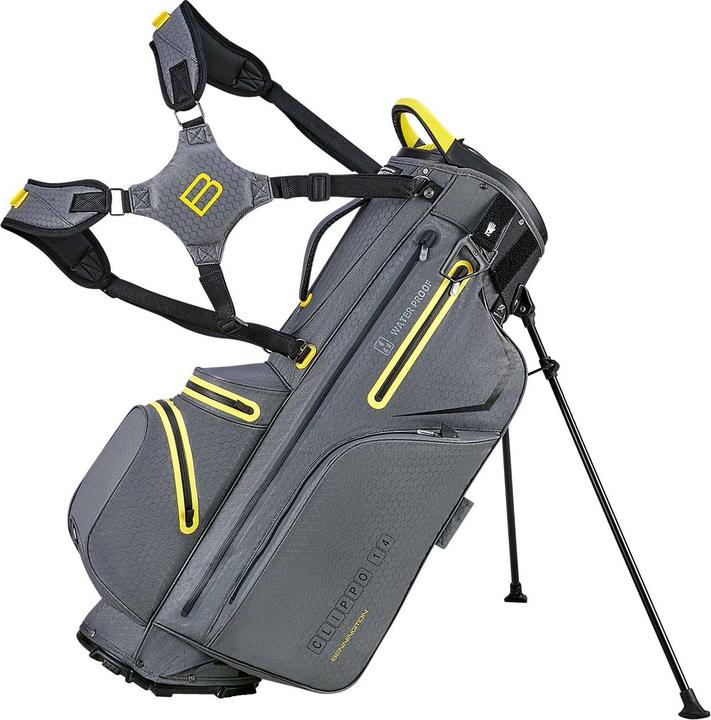canon grey-yellow