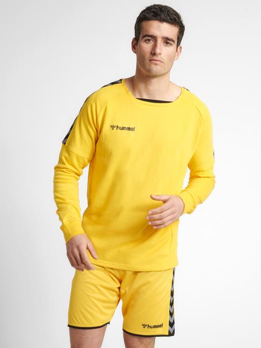 Image du produit hummel Sweat D'Entraînement Authentique (S)