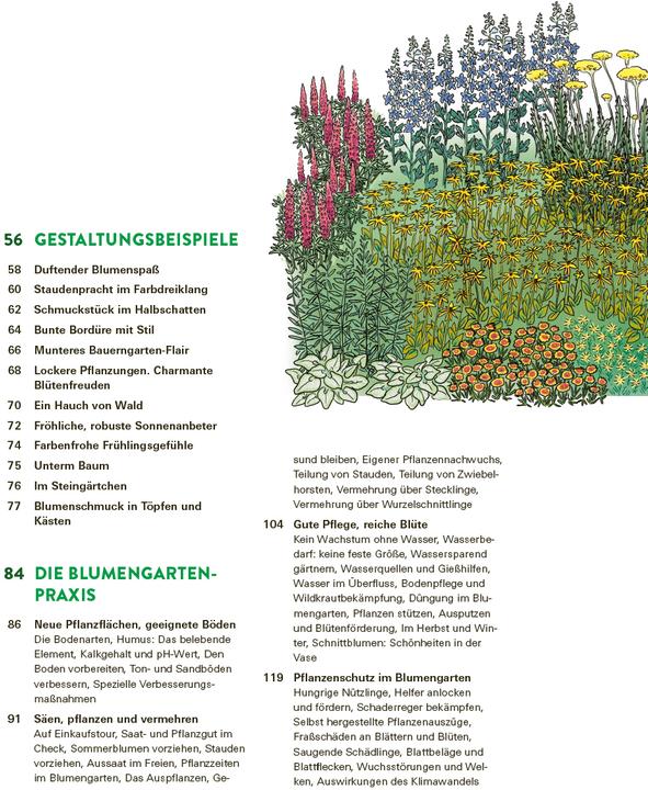 Produktbild Das grosse Buch der Stauden und Sommerblumen (Deutsch, Joachim Mayer, 2025)