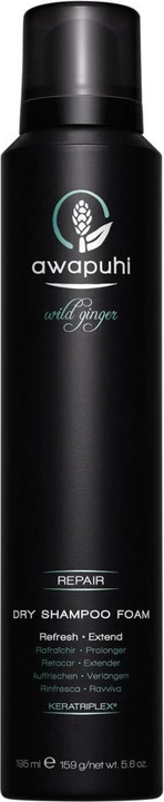 Paul Mitchell Awapuhi Wild Ginger Dry Shampoo Foam (195 ml, Liquid shampoo)