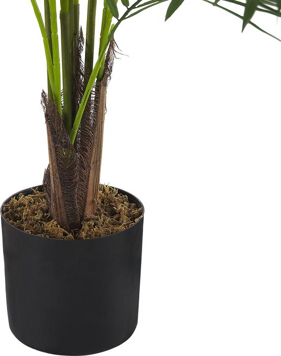 Immagine prodotto Beliani Areca Palm (124 cm)