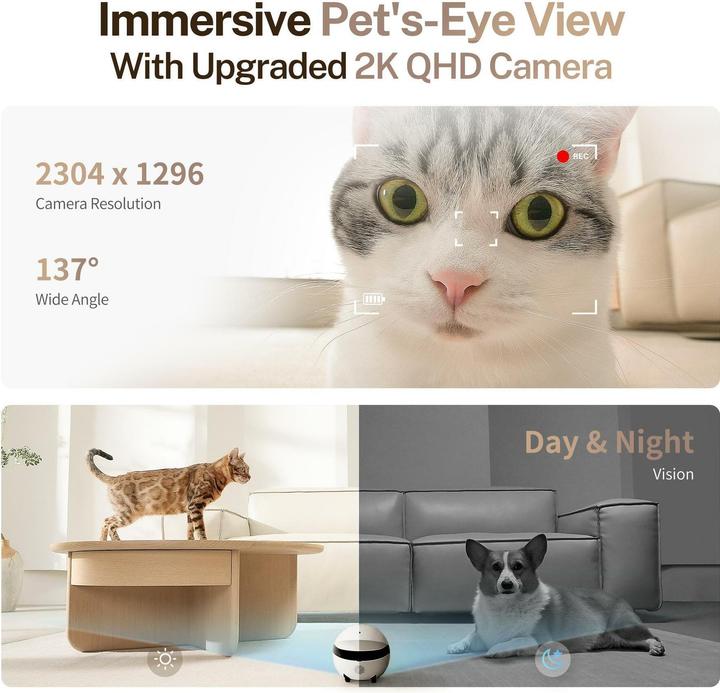 Produktbild Enabot Rola Mini Companion Robot (2304 x 1296 Pixels)