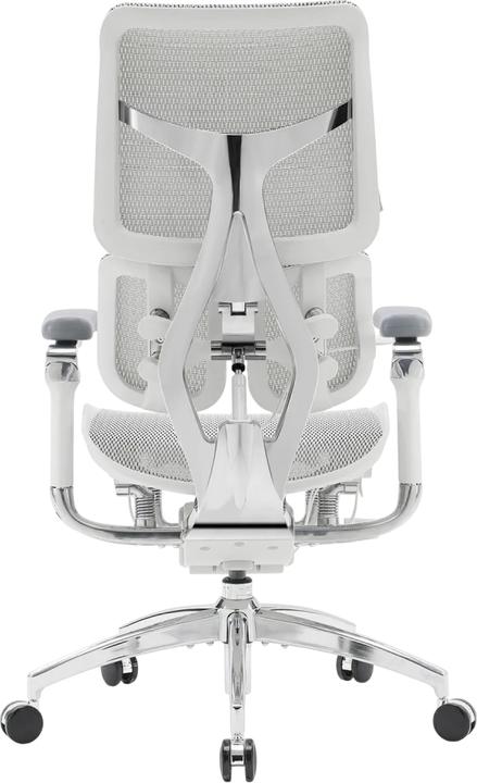Image du produit Sihoo S300