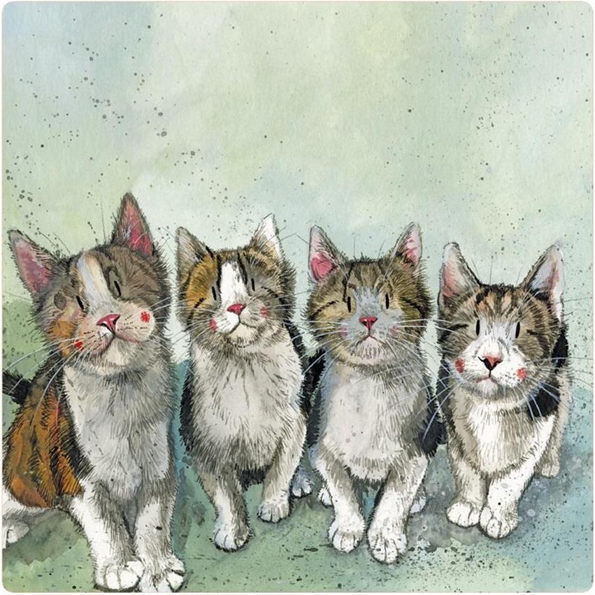 Teka, Magneti, Magnet FM214 Vier Kätzchen